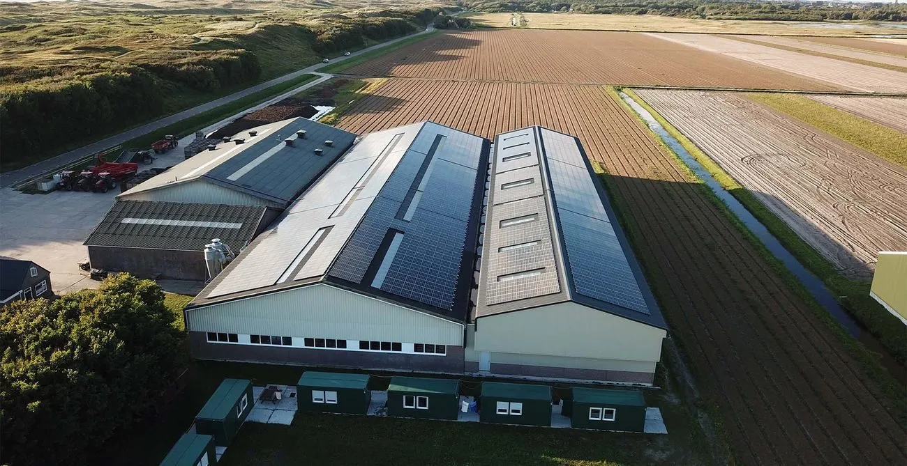 Zonnepanelen op het dak van J.W. Smit — 1600 panelen